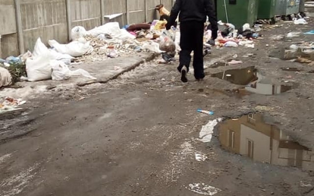 Двор в Днепре заполонили бомжи и собаки Фото № 2 Двор в Днепре заполонили бомжи и собаки Фото № 2