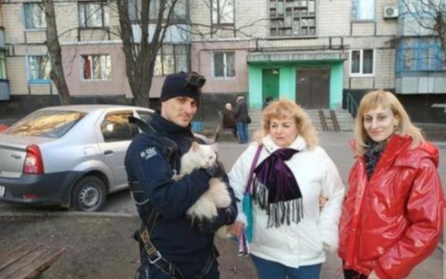 На Днепропетровщине экстремал снял кота с девятиэтажного дома Фото № 0 На Днепропетровщине экстремал снял кота с девятиэтажного дома Фото № 0