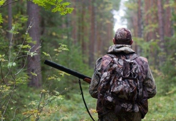 На Днепропетровщине охотники недовольны долгой процедурой таксации дичи Фото № 0 На Днепропетровщине охотники недовольны долгой процедурой таксации дичи Фото № 0