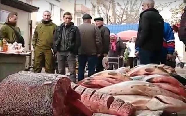 В Днепре продают нелегальную рыбу и раков Фото № 0 В Днепре продают нелегальную рыбу и раков Фото № 0