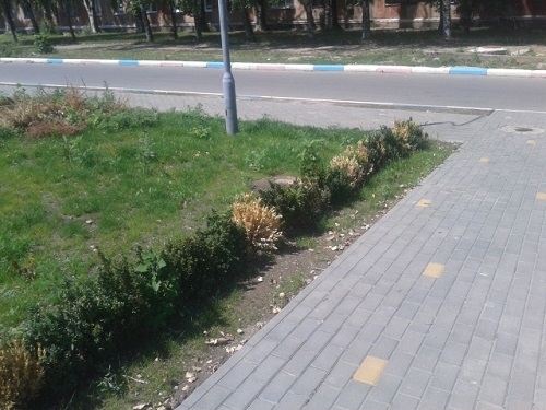 На Днепропетровщине гибнет парк любви Фото № 4 На Днепропетровщине гибнет парк любви Фото № 4