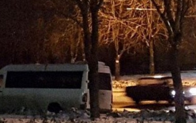ДТП на Днепропетровщине: маршрутка врезалась в дерево Фото № 1 ДТП на Днепропетровщине: маршрутка врезалась в дерево Фото № 1