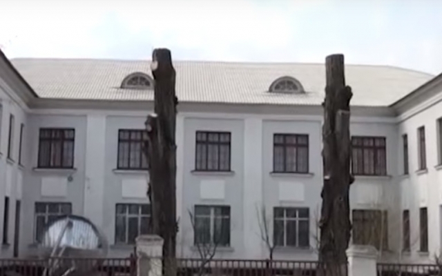 На Днепропетровщине активисты защищают деревья от коммунальщиков Фото № 0 На Днепропетровщине активисты защищают деревья от коммунальщиков Фото № 0