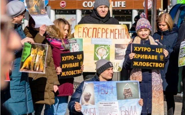 Зоозащитники Днепра просят посмотреть в глаза своей шубе Фото № 0 Зоозащитники Днепра просят посмотреть в глаза своей шубе Фото № 0