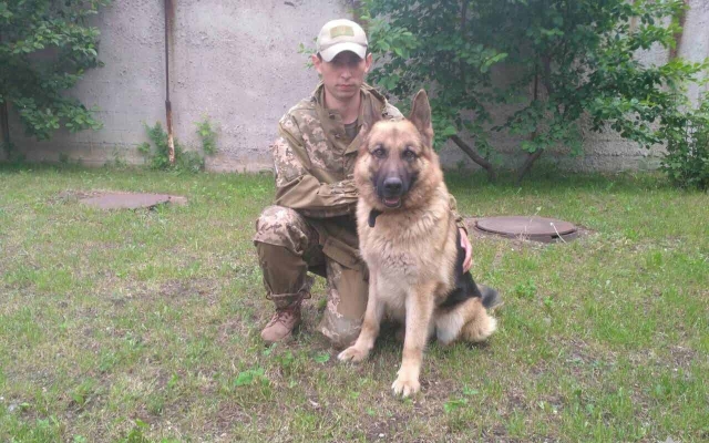 На Днепропетровщине служебный пес нашел в овраге пропавшую пенсионерку Фото № 0 На Днепропетровщине служебный пес нашел в овраге пропавшую пенсионерку Фото № 0