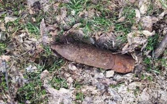 На Днепропетровщине мужчина нашёл артиллерийский снаряд Фото № 0 На Днепропетровщине мужчина нашёл артиллерийский снаряд Фото № 0