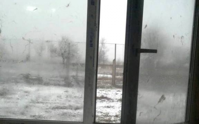 На Днепропетровщине собаки сбежали из приюта Фото № 0 На Днепропетровщине собаки сбежали из приюта Фото № 0