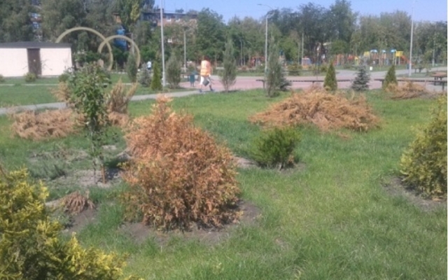На Днепропетровщине гибнет парк любви Фото № 0 На Днепропетровщине гибнет парк любви Фото № 0