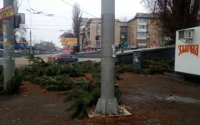 Почему днепряне перестали покупать елки? Фото № 0 Почему днепряне перестали покупать елки? Фото № 0