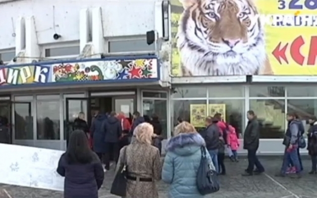 «Цирк без животных»: акция протеста в Днепре Фото № 0 «Цирк без животных»: акция протеста в Днепре Фото № 0