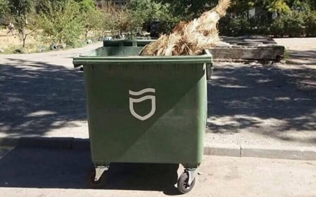 Парадоксальный Днепр: горожане выбрасывают елки в июле Фото № 0 Парадоксальный Днепр: горожане выбрасывают елки в июле Фото № 0