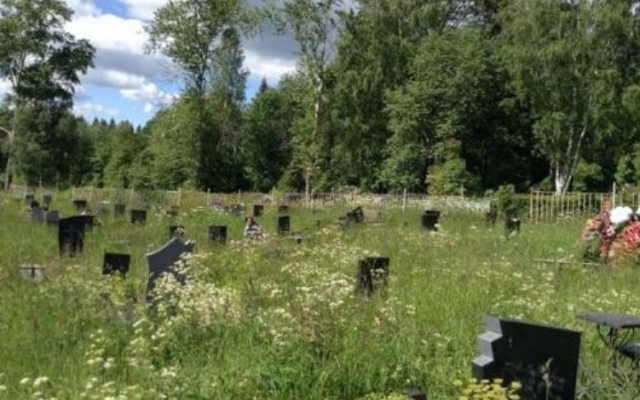 В Днепре займутся благоустройством кладбищ Фото № 0 В Днепре займутся благоустройством кладбищ Фото № 0