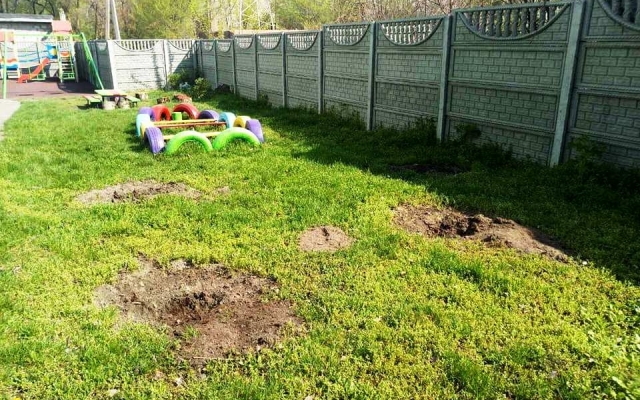 На Днепропетровщине воруют зеленые насаждения Фото № 1 На Днепропетровщине воруют зеленые насаждения Фото № 1