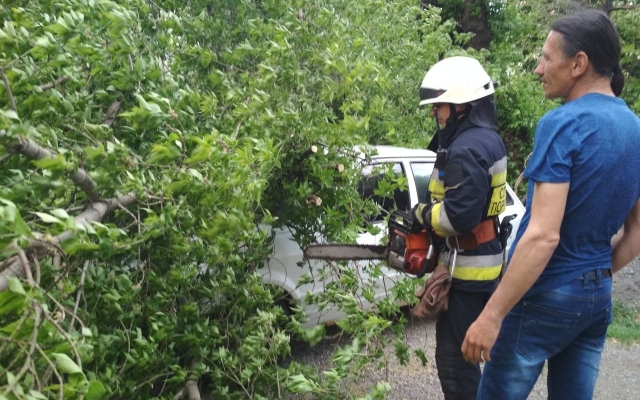 Древопад в Днепре: дерево упало на автомобиль Фото № 0 Древопад в Днепре: дерево упало на автомобиль Фото № 0