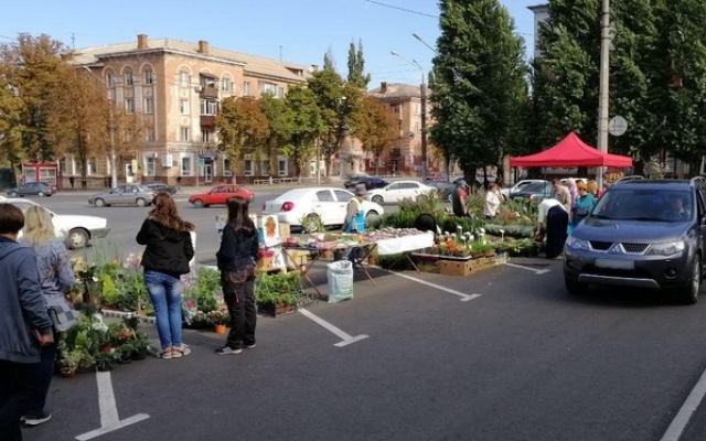 ДТП на Днепропетровщине: автомобиль сбил пенсионерку Фото № 0 ДТП на Днепропетровщине: автомобиль сбил пенсионерку Фото № 0