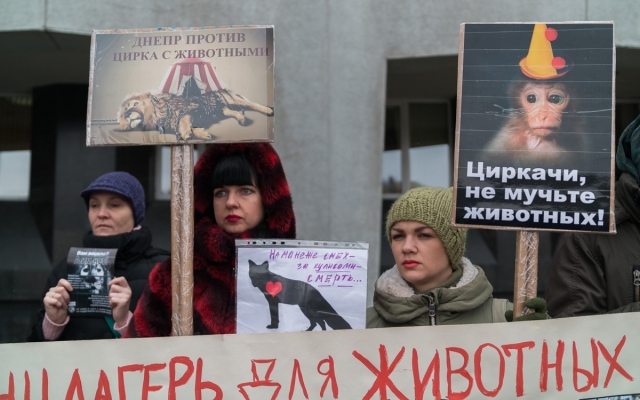 Цирк без животных: днепряне протестуют против жестокости Фото № 0 Цирк без животных: днепряне протестуют против жестокости Фото № 0