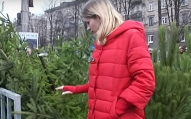 Покупка елки в Днепре: сколько стоит зеленая красавица? Фото № 0 Покупка елки в Днепре: сколько стоит зеленая красавица? Фото № 0