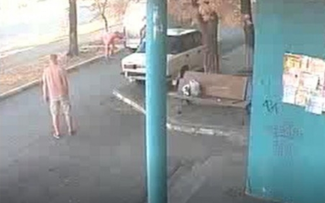 ДТП на Днепропетровщине: авто сбило пенсионерку Фото № 0 ДТП на Днепропетровщине: авто сбило пенсионерку Фото № 0