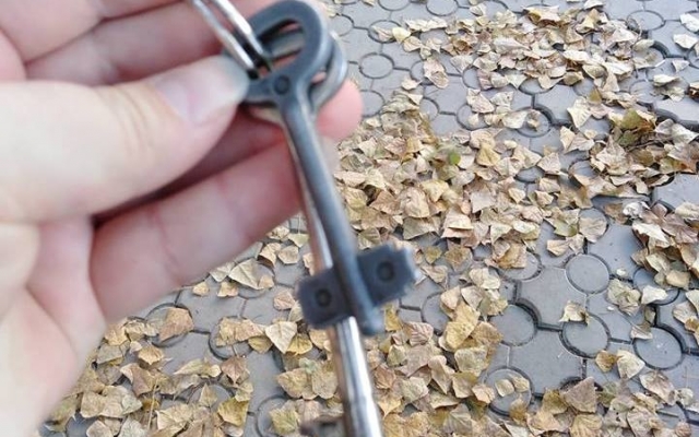 В Днепре действует народное «Бюро находок» Фото № 0 В Днепре действует народное «Бюро находок» Фото № 0