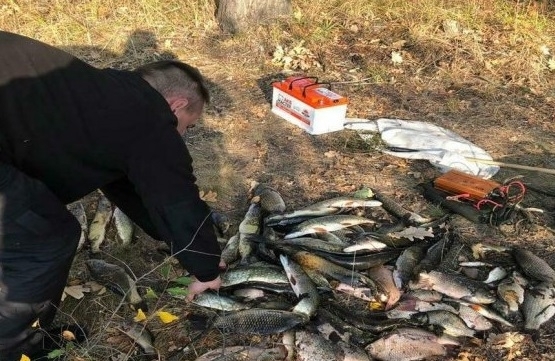 Под Днепром полиция задержала браконьеров Фото № 0 Под Днепром полиция задержала браконьеров Фото № 0
