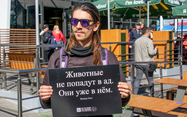 Днепряне предлагают запретить выступления животных в цирке Фото № 0 Днепряне предлагают запретить выступления животных в цирке Фото № 0