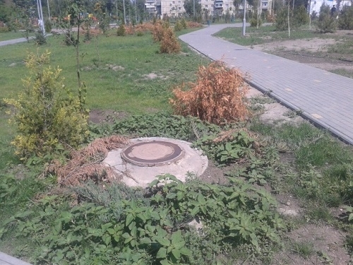 На Днепропетровщине гибнет парк любви Фото № 2 На Днепропетровщине гибнет парк любви Фото № 2