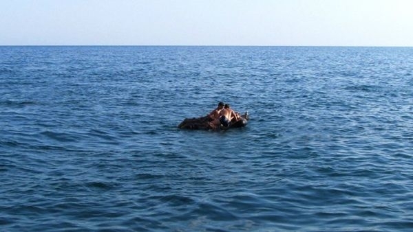 Опасный отдых: жителей Днепра унесло в море на надувном матрасе Фото № 0 Опасный отдых: жителей Днепра унесло в море на надувном матрасе Фото № 0