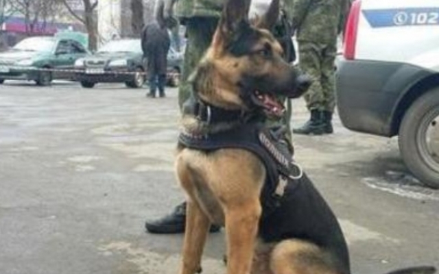 На Днепропетровщине полиция задержала На Днепропетровщине полиция задержала