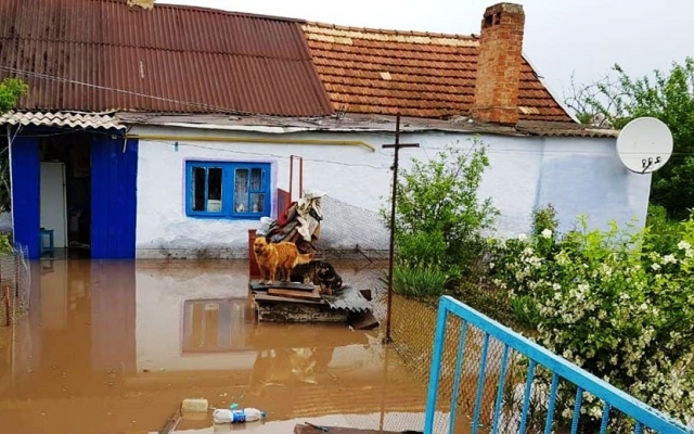 На Днепропетровщине четвертый раз за декаду затопило райцентр Фото № 1 На Днепропетровщине четвертый раз за декаду затопило райцентр Фото № 1