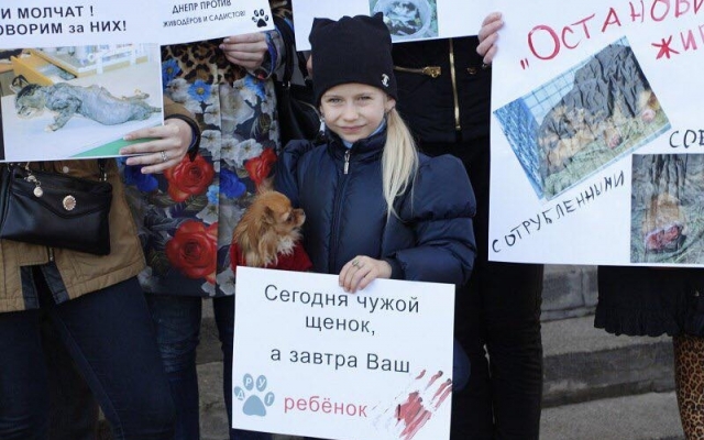 Днепряне митинговали под горсоветом в поддержку прав животных Фото № 0 Днепряне митинговали под горсоветом в поддержку прав животных Фото № 0