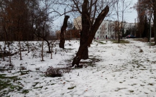 На Днепропетровщине возле роддома нашли труп Фото № 0 На Днепропетровщине возле роддома нашли труп Фото № 0