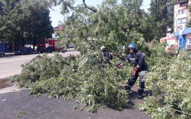 Древопад на Днепропетровщине: в регионе убрали 1277 упавших деревьев Фото № 0 Древопад на Днепропетровщине: в регионе убрали 1277 упавших деревьев Фото № 0