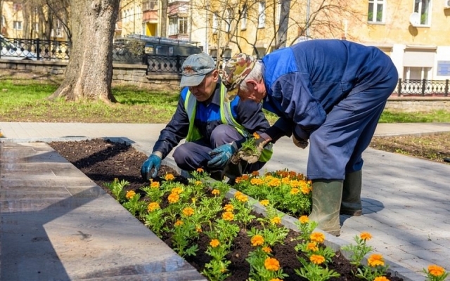 В Днепре посадят цветы и кустарники за 13 миллионов гривен Фото № 0 В Днепре посадят цветы и кустарники за 13 миллионов гривен Фото № 0