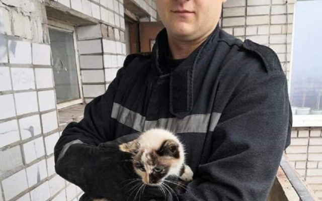 На Днепропетровщине сотрудники ГСЧС снимали кота с 13-го этажа Фото № 0 На Днепропетровщине сотрудники ГСЧС снимали кота с 13-го этажа Фото № 0