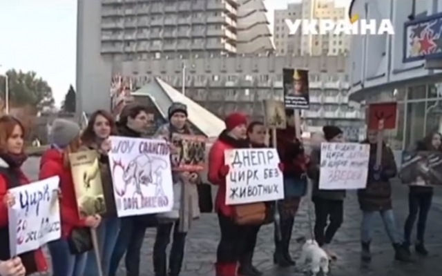«Цирк без животных»: акция протеста в Днепре Фото № 1 «Цирк без животных»: акция протеста в Днепре Фото № 1
