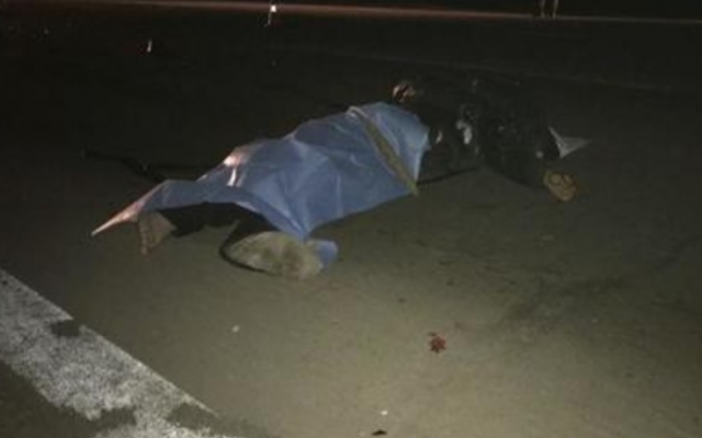 ДТП на Днепропетровщине: авто насмерть сбило пешехода Фото № 0 ДТП на Днепропетровщине: авто насмерть сбило пешехода Фото № 0