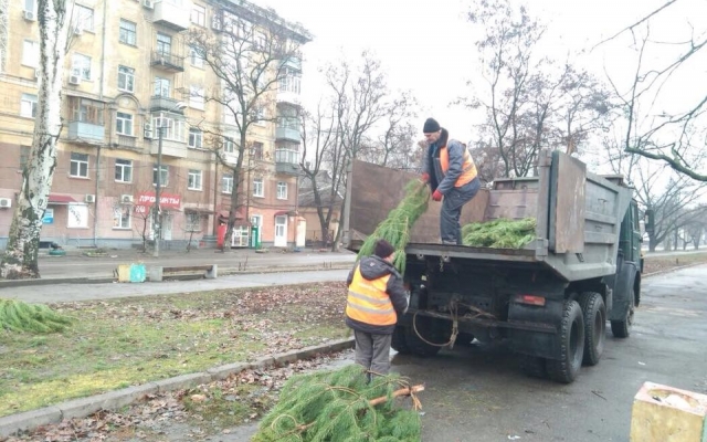 Новогодний Днепр: горожан учили правильно выбирать елку Фото № 0 Новогодний Днепр: горожан учили правильно выбирать елку Фото № 0
