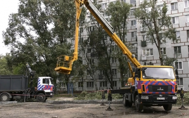 В Днепре массово спиливают аварийные деревья Фото № 0 В Днепре массово спиливают аварийные деревья Фото № 0