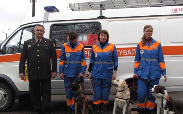 В Днепре не пустили в маршрутку собаку-волонтера Фото № 3 В Днепре не пустили в маршрутку собаку-волонтера Фото № 3