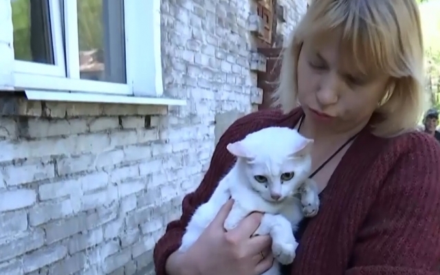 На Днепропетровщине спасатели снимали кошку с дерева Фото № 0 На Днепропетровщине спасатели снимали кошку с дерева Фото № 0
