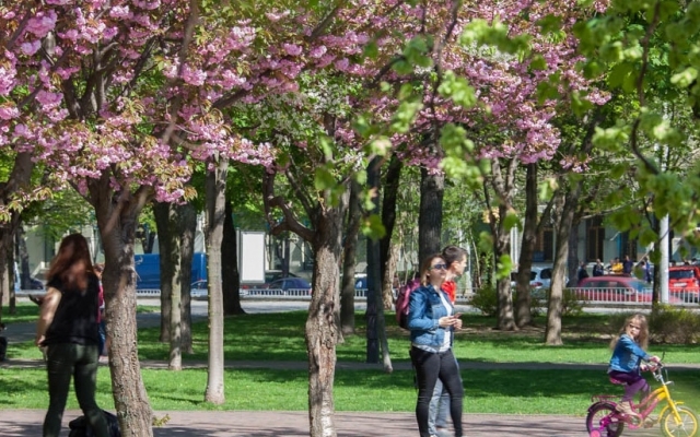 Май в Днепре: где можно отдохнуть прямо в городе? Фото № 0 Май в Днепре: где можно отдохнуть прямо в городе? Фото № 0