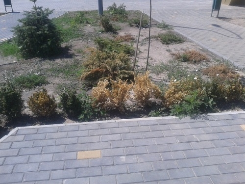 На Днепропетровщине гибнет парк любви Фото № 3 На Днепропетровщине гибнет парк любви Фото № 3