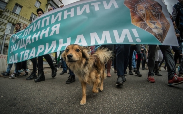 В Днепре пройдет всеукраинский марш за права животных Фото № 0 В Днепре пройдет всеукраинский марш за права животных Фото № 0