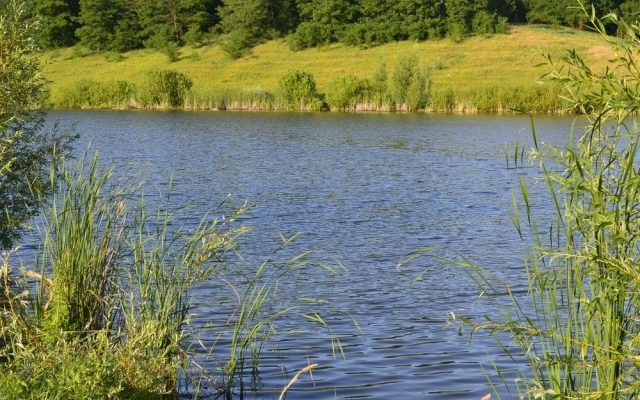 В регионе водные участки незаконно передали в аренду Фото № 0 В регионе водные участки незаконно передали в аренду Фото № 0