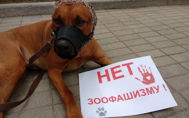 В Днепре пройдет марш в защиту животных Фото № 0 В Днепре пройдет марш в защиту животных Фото № 0