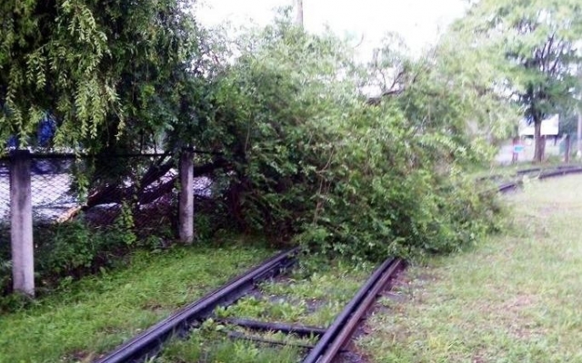 Буря на Днепропетровщине: молния повалила фонарный столб Фото № 2 Буря на Днепропетровщине: молния повалила фонарный столб Фото № 2