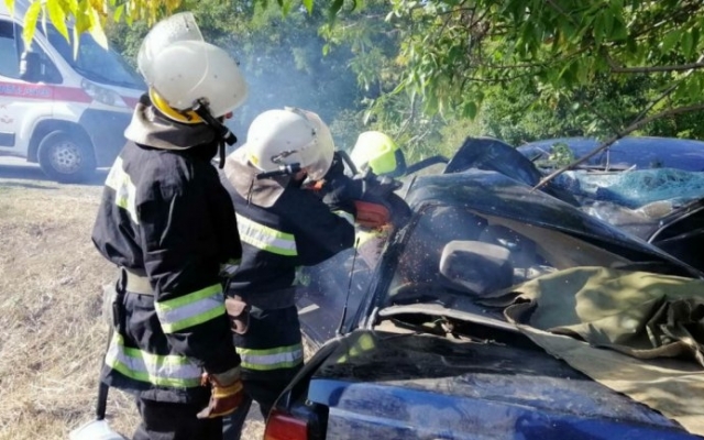ДТП на Днепропетровщине: Opel врезался в дерево Фото № 0 ДТП на Днепропетровщине: Opel врезался в дерево Фото № 0