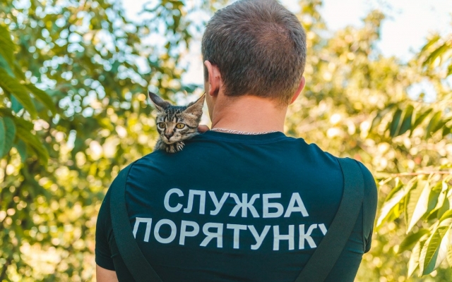 На Днепропетровщине сотрудники ГСЧС спасли котенка Фото № 0 На Днепропетровщине сотрудники ГСЧС спасли котенка Фото № 0
