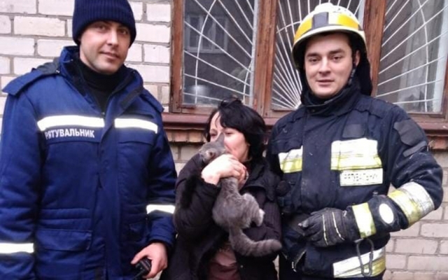 В Днепре спасли застрявшего в окне котика (ФОТО) Фото № 0 В Днепре спасли застрявшего в окне котика (ФОТО) Фото № 0