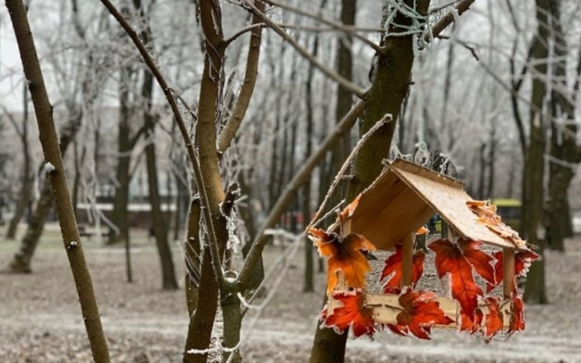 В парке им. Гагарина появится особенные кормушки Фото № 0 В парке им. Гагарина появится особенные кормушки Фото № 0